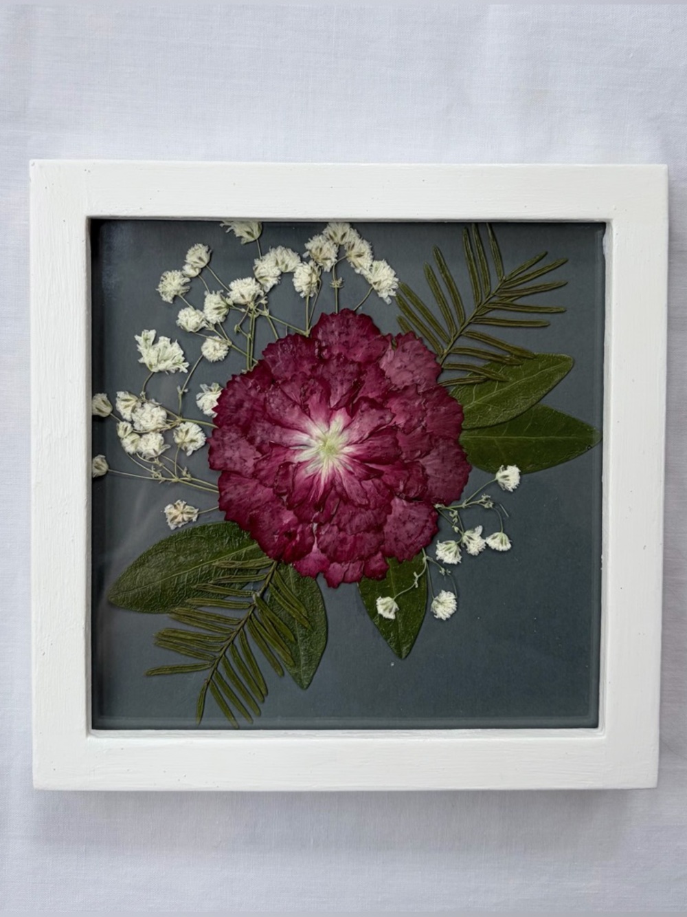 Framed Pressed Carnation